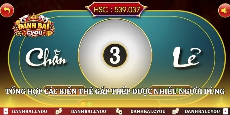Tổng hợp các biến thể gấp thếp được nhiều người dùng